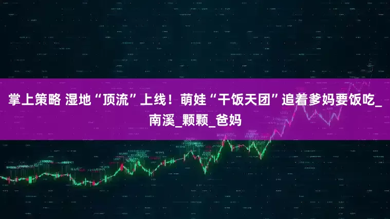 掌上策略 湿地“顶流”上线！萌娃“干饭天团”追着爹妈要饭吃_南溪_颗颗_爸妈