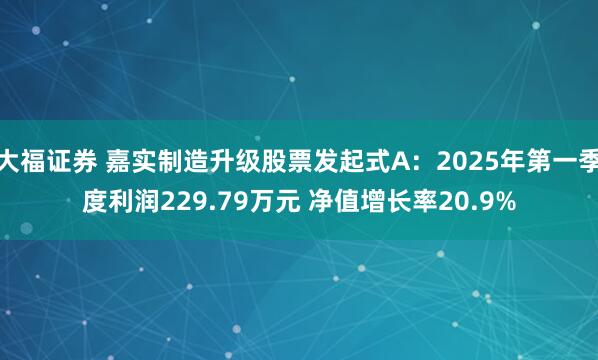 大福证券 嘉实制造升级股票发起式A：2025年第一季度利润229.79万元 净值增长率20.9%