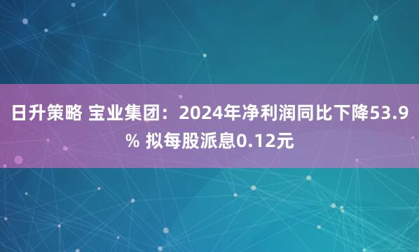 日升策略 宝业集团：2024年净利润同比下降53.9% 拟每股派息0.12元